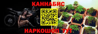 соль курить ск Нальчик