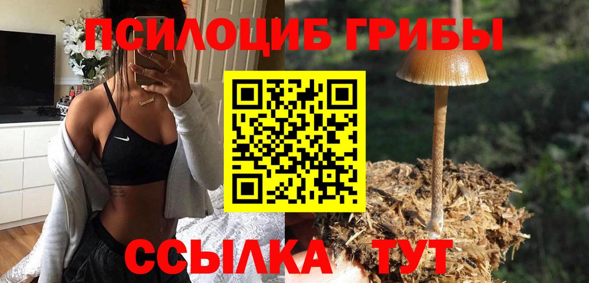 Псилоцибиновые грибы прущие грибы Южно-Сахалинск